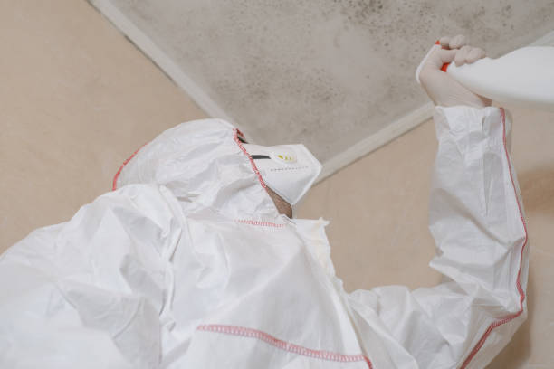 Best Mold Testing  in West Deland, FL